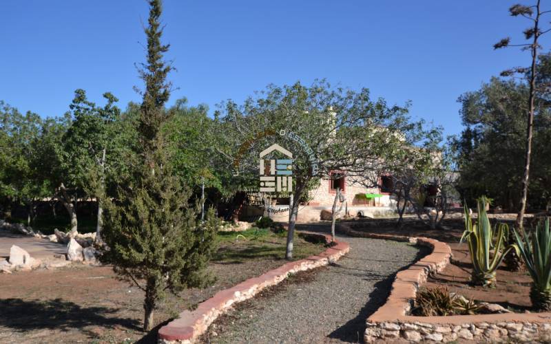 Camping-Caravaning (13)